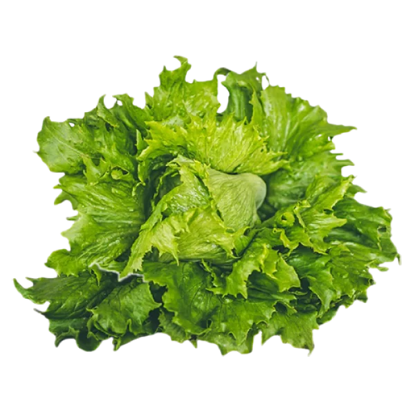 Fresh Iceberg Lettuce PNG Transparent Background