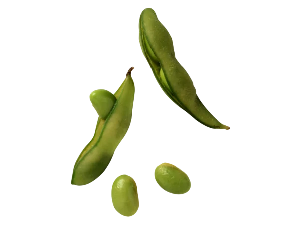 Fresh Edamame Pods and Beans PNG Transparent Background