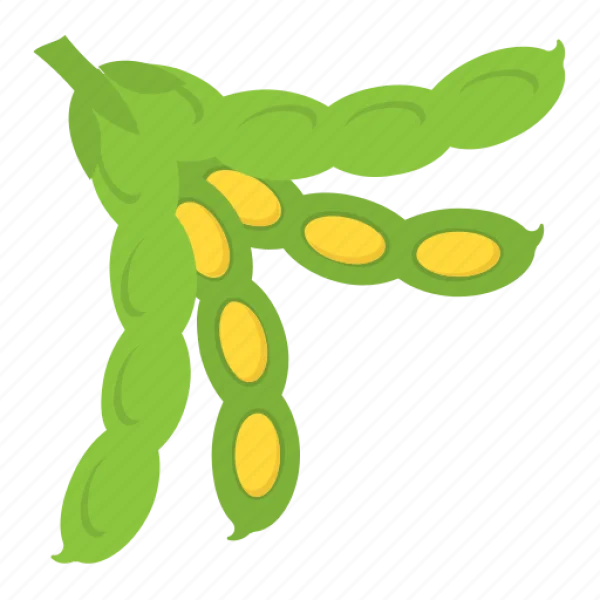 Fresh Green Pea Pods PNG Transparent Background