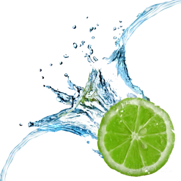 Lime Slice and Water Splash PNG Transparent