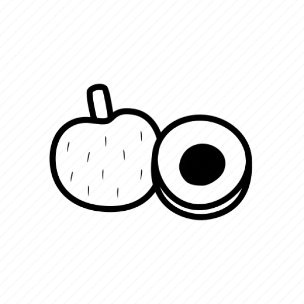 Avocado Icon Transparent Background