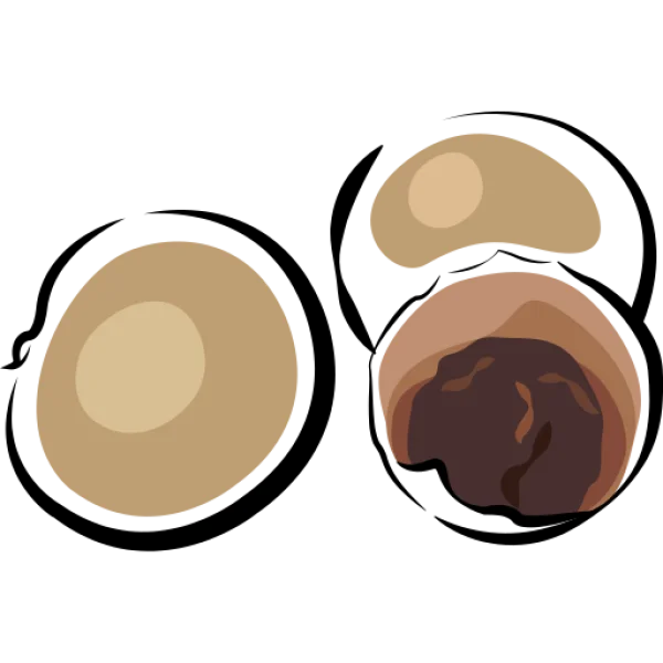 Mochi with Red Bean Paste PNG Transparent Background