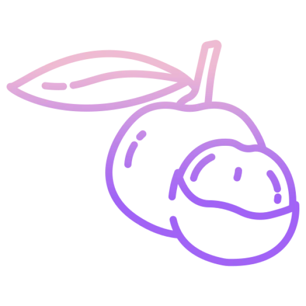 Gradient Line Art Lychee Fruit PNG