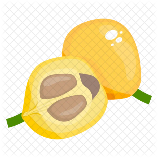 Loquat Fruit Transparent Background PNG