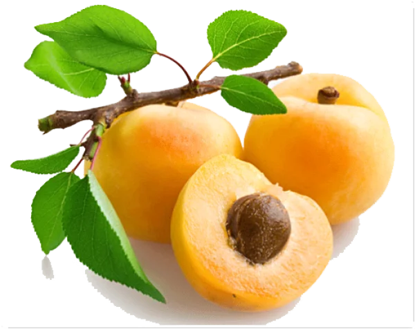 Ripe Apricots with Leaves PNG Transparent Background
