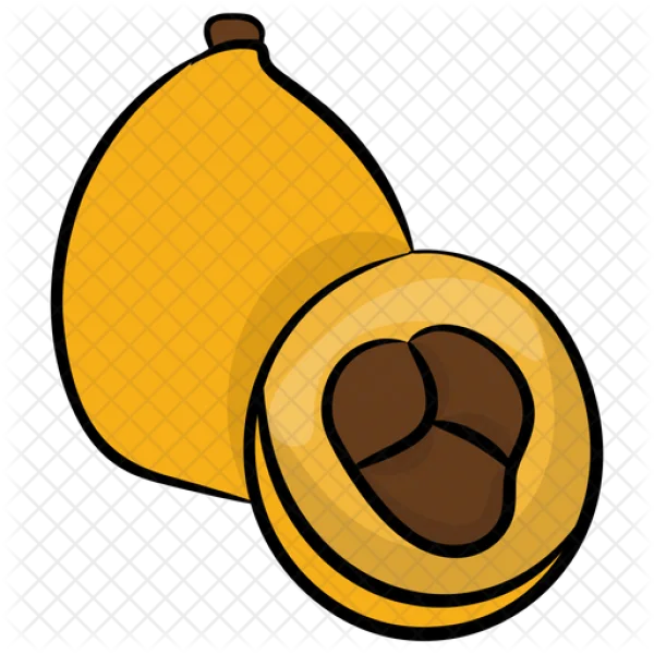 Loquat Fruit PNG Transparent Background