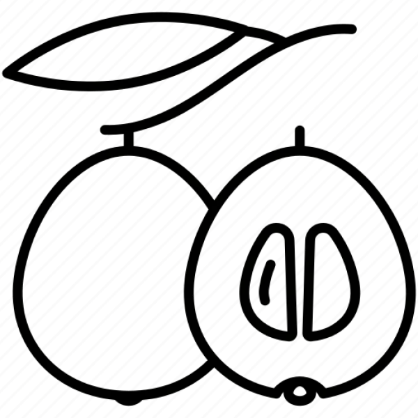 Sliced Watermelon Doodle Icon PNG Transparent