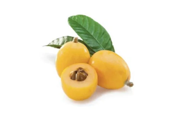 Fresh Loquats with Leaves PNG Transparent Background