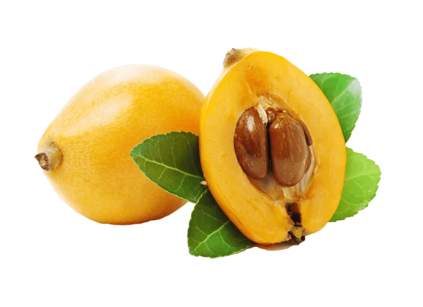 Whole and Cut Loquat Fruit PNG Transparent Background