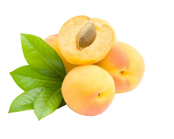 Fresh Apricots with Leaves PNG Transparent