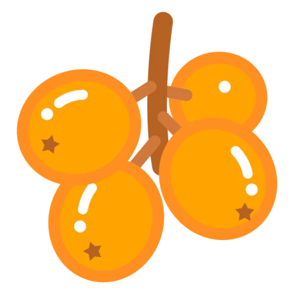 Loquats on Branch Icon PNG Transparent Background