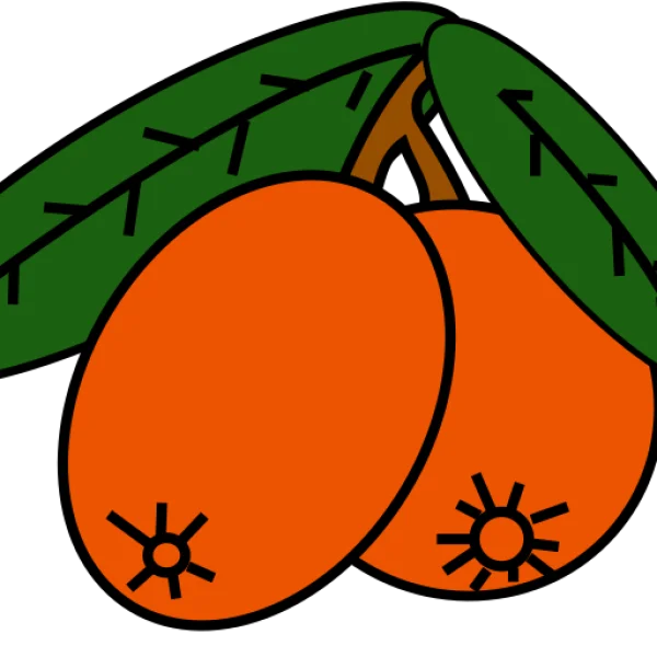 Stylized Loquat Fruits with Leaves PNG