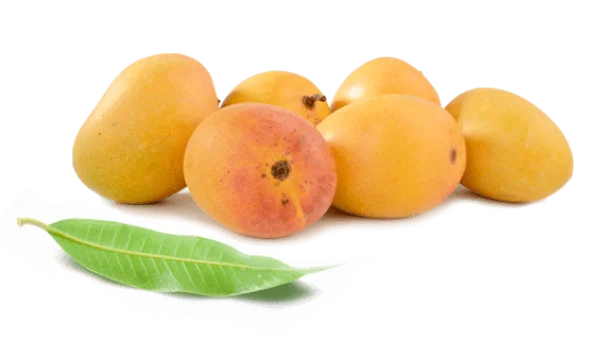 Fresh Ripe Mangoes with Leaf PNG Transparent