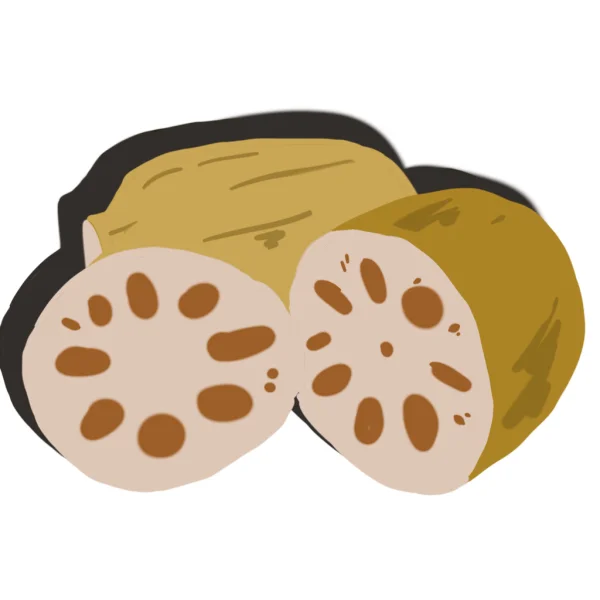 Lotus Root Sliced Transparent PNG
