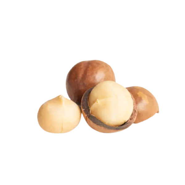 Macadamia Nuts PNG Transparent Background