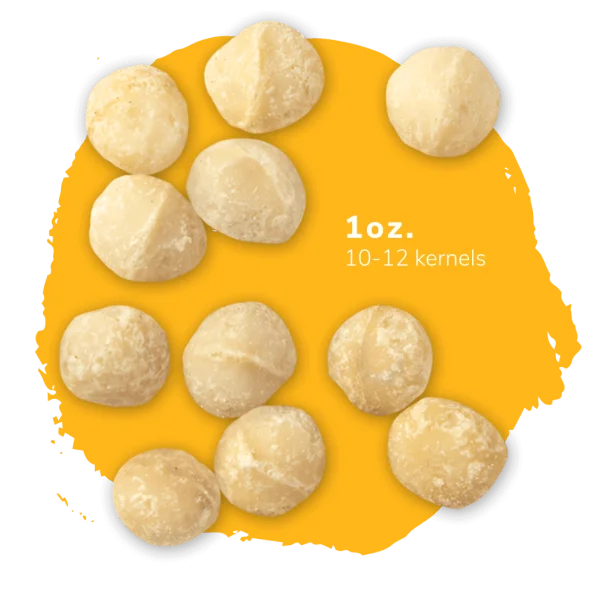 Macadamia Nuts 1oz Portion PNG