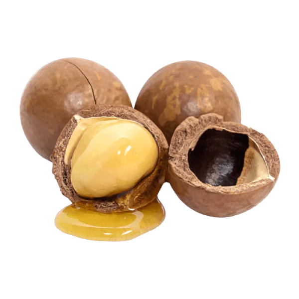 Macadamia Nuts with Honey PNG Transparent Background