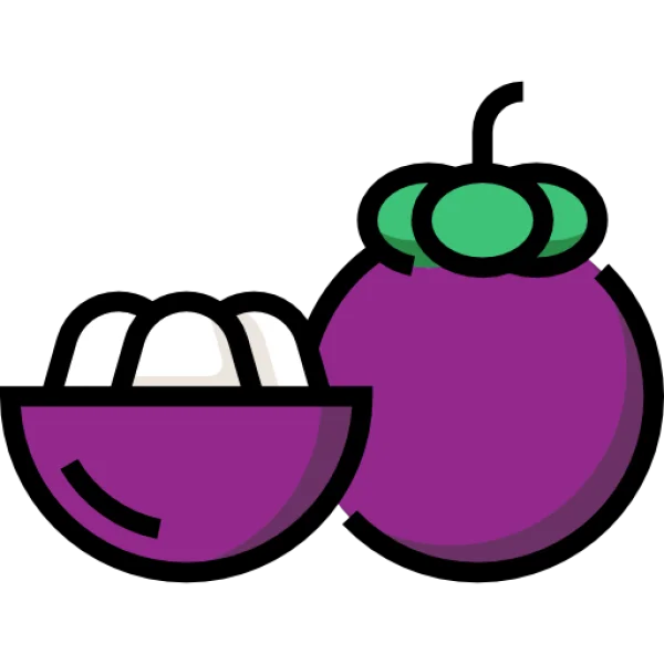 Mangosteen Fruit Icon PNG Transparent