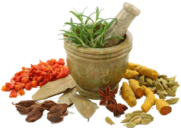 Mortar and Pestle with Fresh Herbs and Spices PNG