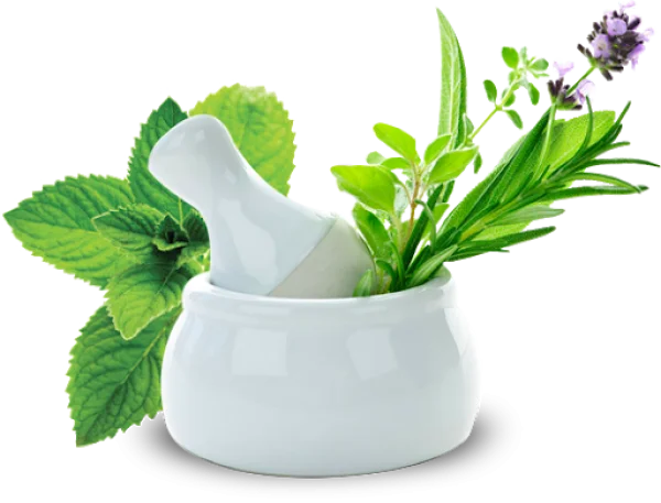 Mortar and Pestle with Fresh Herbs PNG