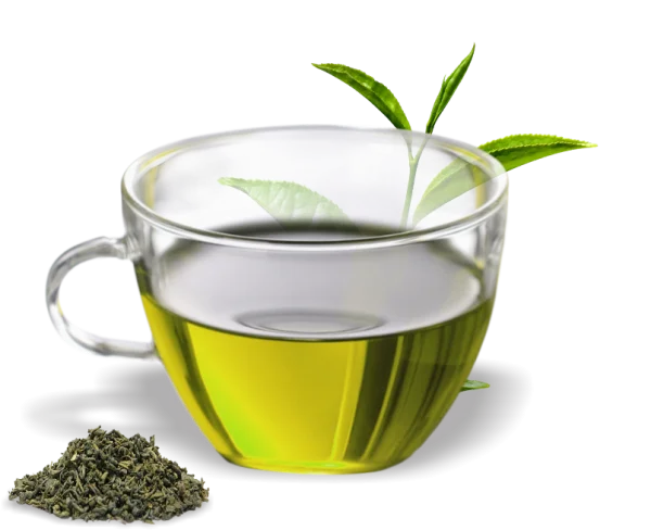Green Tea Cup and Leaves PNG Transparent Background