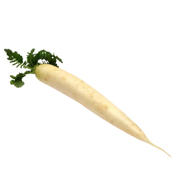 White Radish with Leaves PNG Transparent