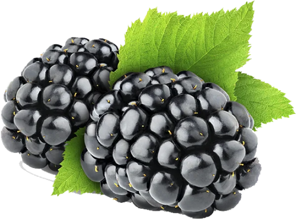 Fresh Blackberries with Leaves PNG Transparent Background