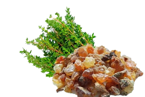 Frankincense Resin and Thyme Sprigs PNG Transparent Background