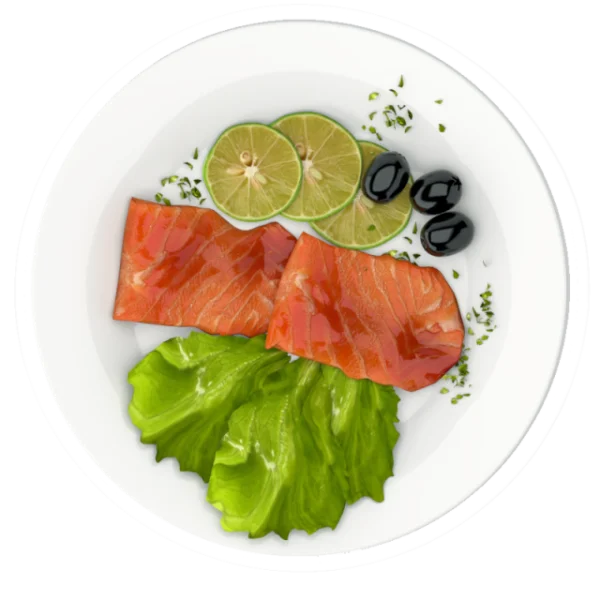 Salmon Fillet Dish PNG Transparent Background