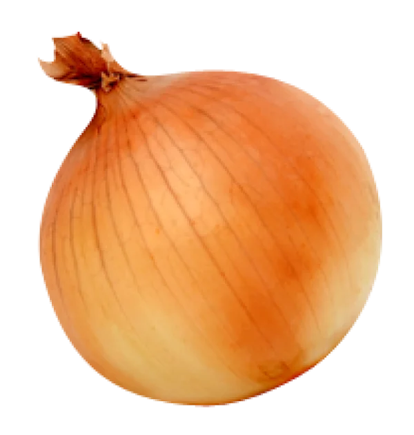 Whole Yellow Onion PNG Transparent Background