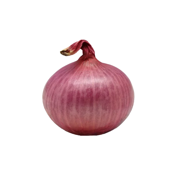 Red Onion PNG Transparent Background