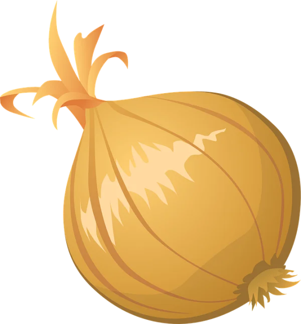 Cartoon Yellow Onion Transparent PNG
