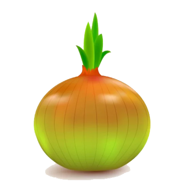 Whole Onion PNG with Green Sprouts Transparent Background