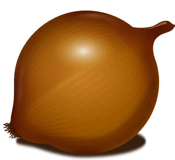 Brown Onion PNG Transparent Background
