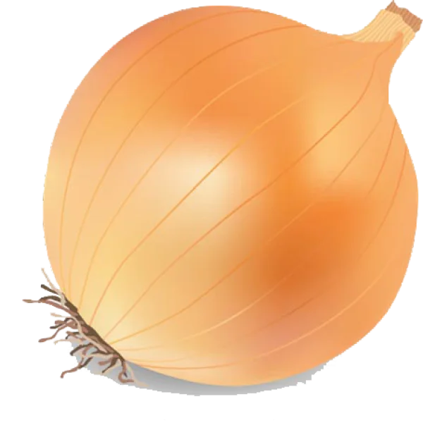 Whole Yellow Onion PNG Transparent Background