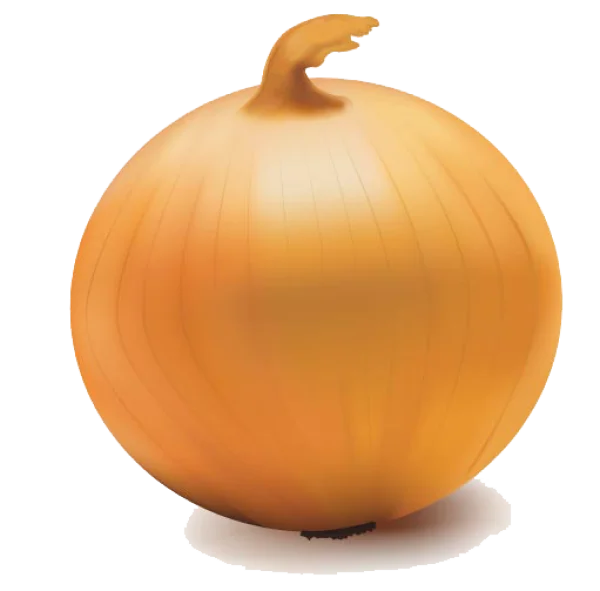 Yellow Onion PNG Transparent Background