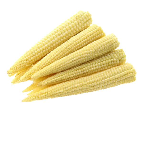 Fresh Baby Corn PNG Transparent Background