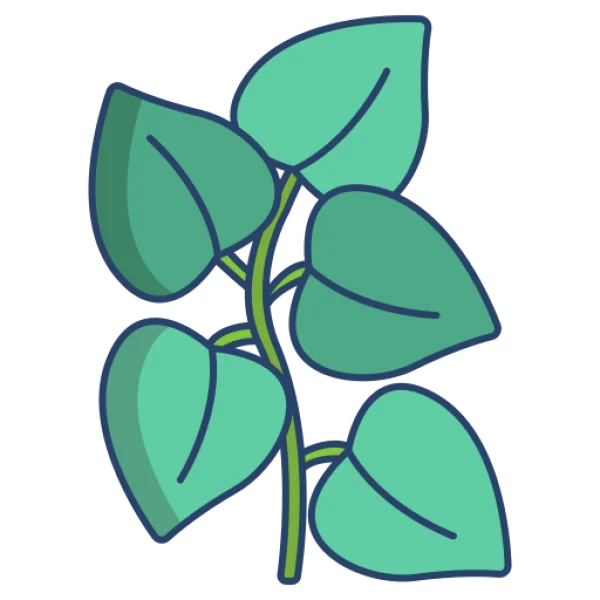 Green Vine Plant Leaves PNG Transparent Background