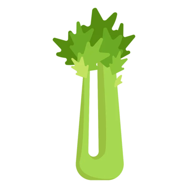 Cartoon Celery Stalk PNG Transparent Background