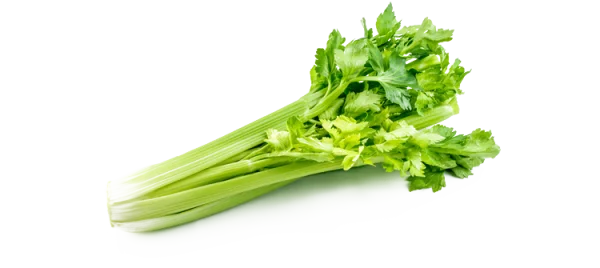 Fresh Celery Stalks PNG Transparent Background