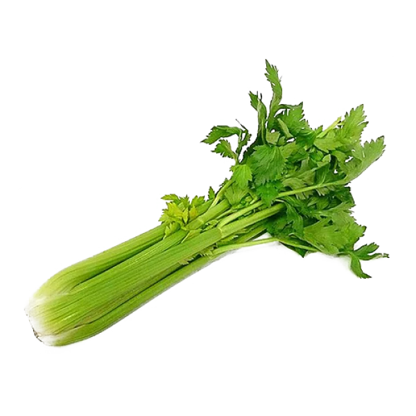 Fresh Celery Bunch PNG Transparent Background