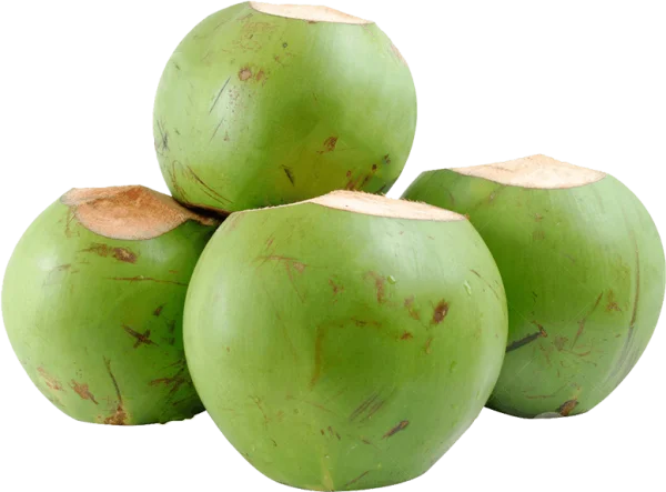 Fresh Green Coconuts PNG Transparent Background