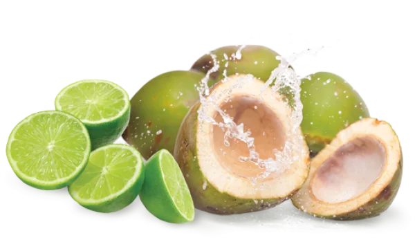 Fresh Young Coconuts and Limes with Splash PNG Transparent
