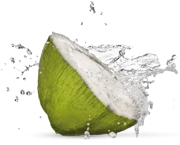 Green Coconut Half with Dynamic Water Splash PNG