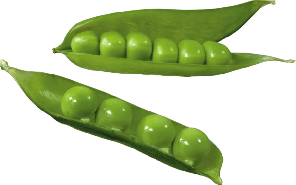 Green Peas in Pods PNG Transparent Background