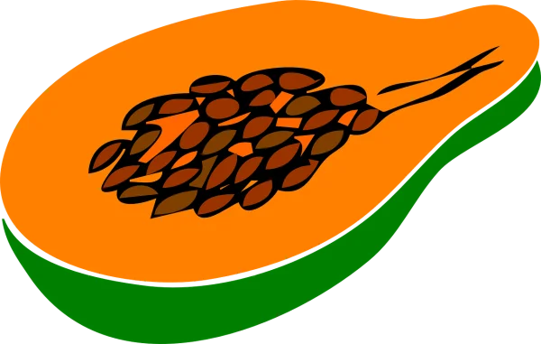 Papaya Slice with Seeds PNG Transparent Background