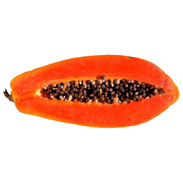 Sliced Papaya with Seeds PNG Transparent Background