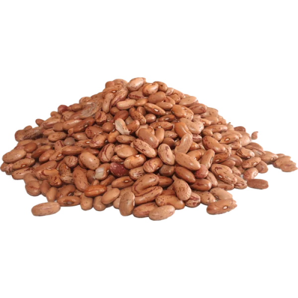 Pile of Pinto Beans PNG Transparent Background