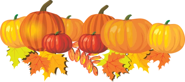 Fall Pumpkins and Leaves PNG