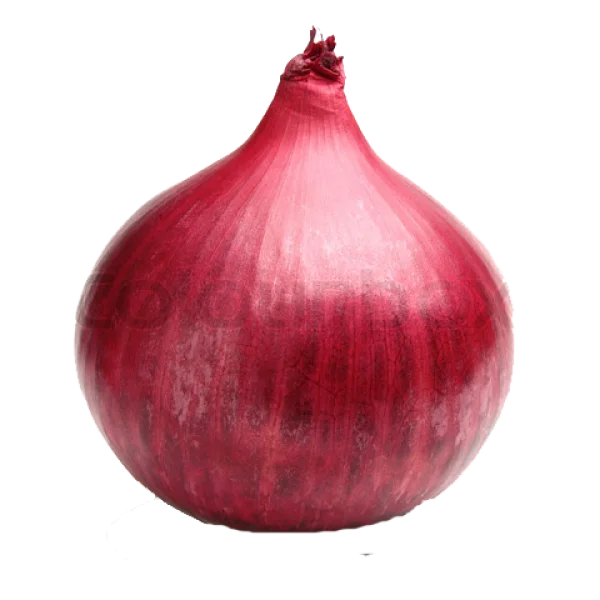 Red Onion PNG Transparent Background